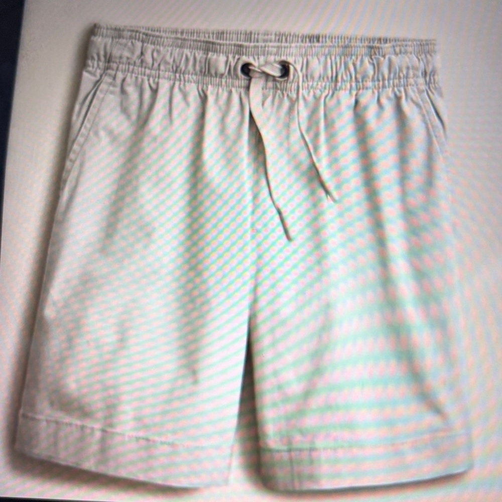 NWT J. Crew Crewcuts Pier Shorts, 8